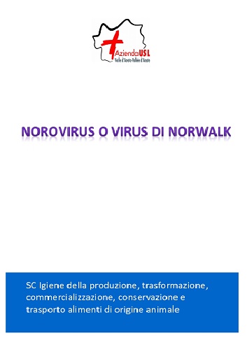 Norovirus o virus di Norwalk