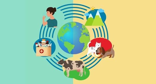 Antibioticoresistenza: un impegno comune per la salute di tutti